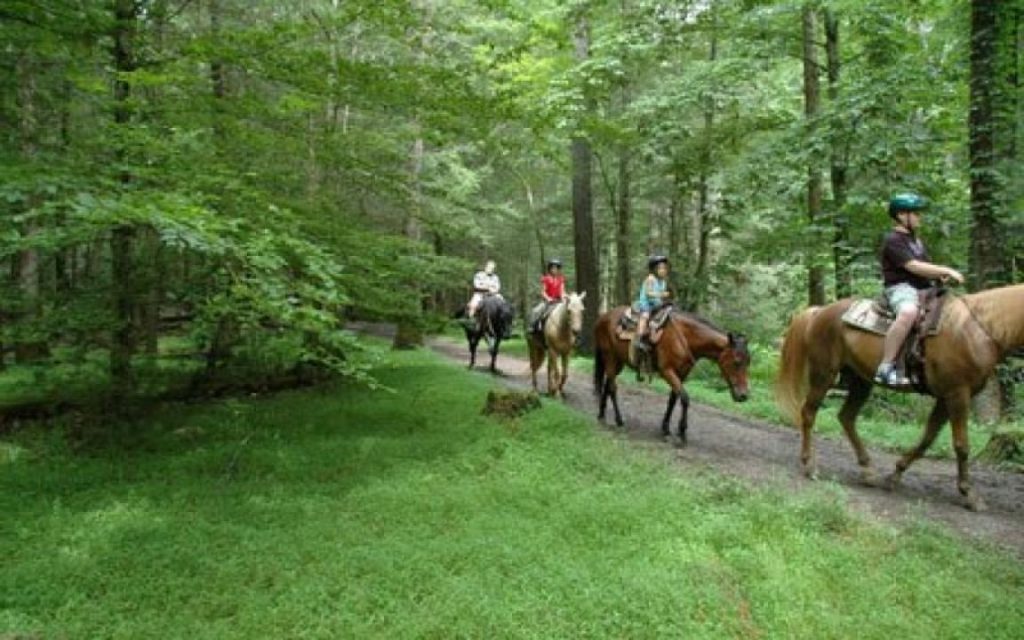 Horseack riding in Cades Cove