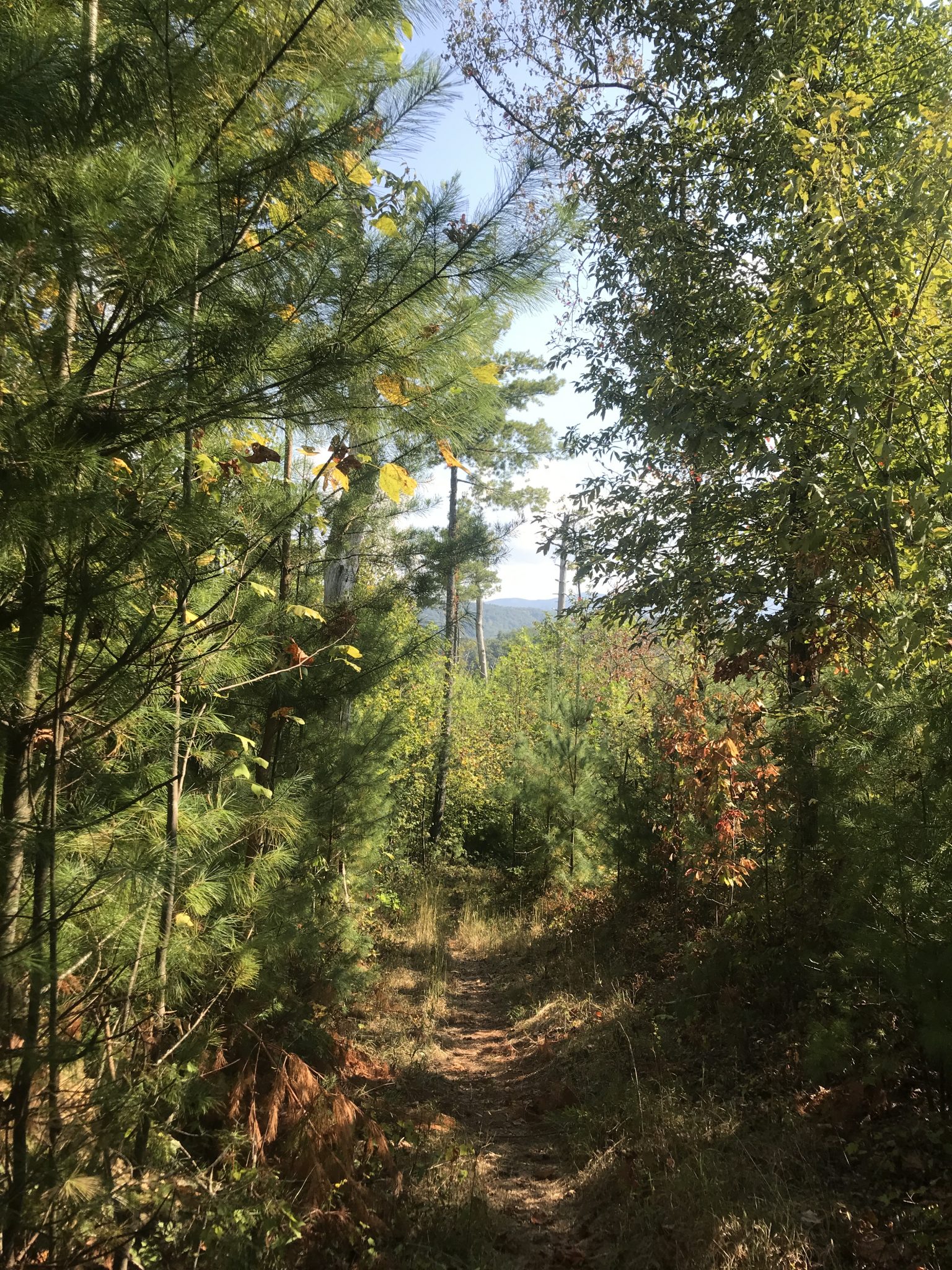 Cooper Road Trail Visit Cades Cove