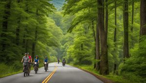 Guided Tours Cades Cove
